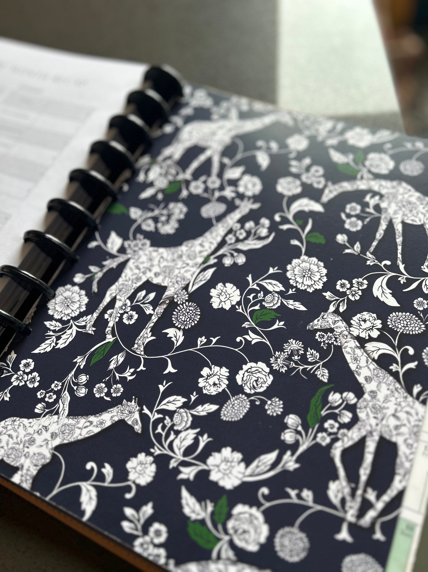 Tab Divider Set for Letter Sized, Discbound: Rosalie Toile