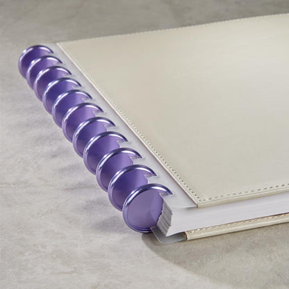 Aluminum Circa Notebook Discs (set of 11)